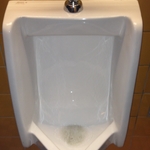 Commercial toilet cleaned and shined to perfection