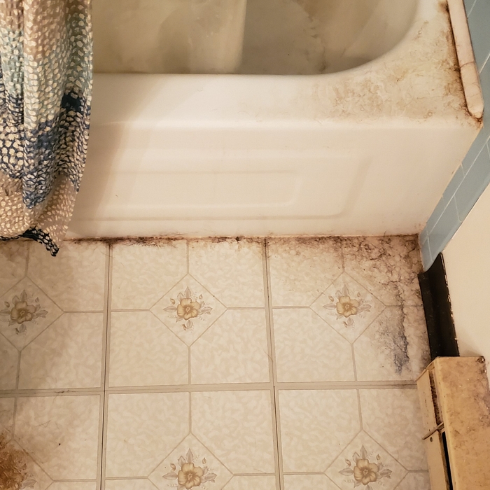 Bathroom before
