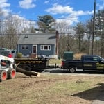 Trees Removal
