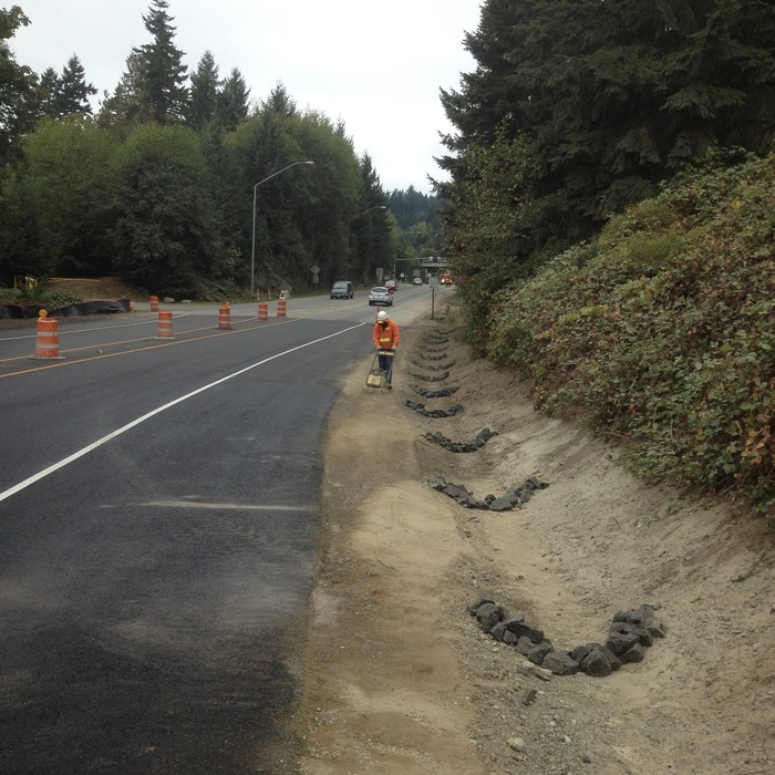 Simple drainage swale