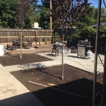 Back yard re landscape