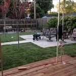 Back yard re landscape