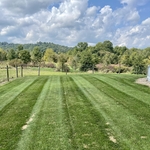 Lawn Care