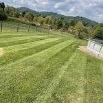 Lawn Care