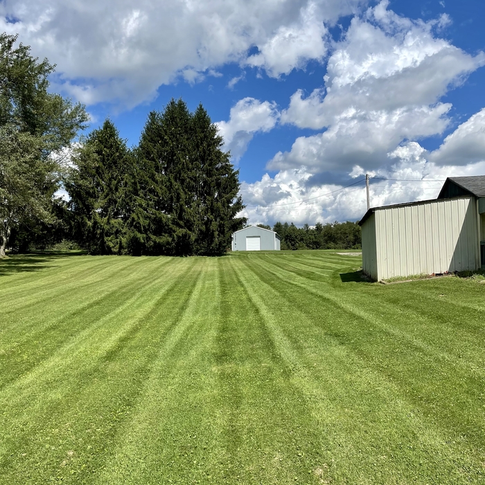 Lawn Care