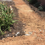 Paver Walkway