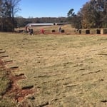 Sod Installation