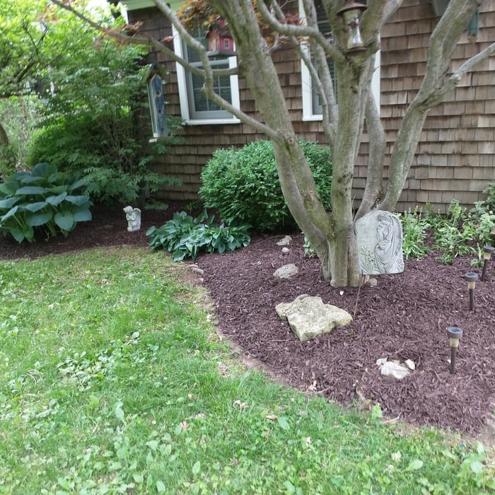 Front of house