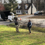 tree service