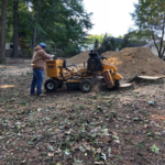 tree service