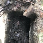 Clugged downspout