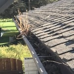 Gutter - Before cleaning