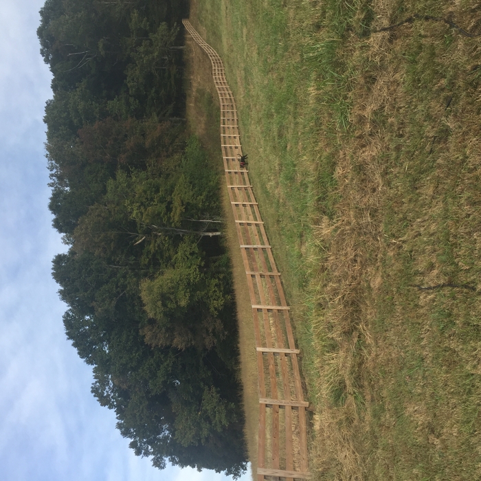 New fence