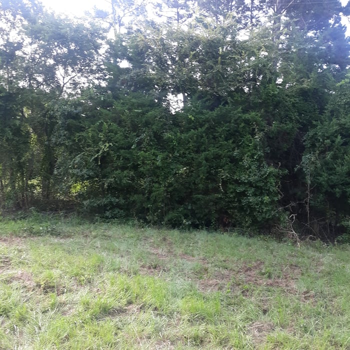 Land clearing