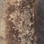 Mold
