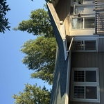 Shingle replacement
