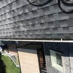 Gutter Cleaning