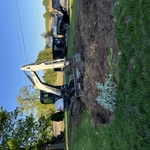 Tree removal