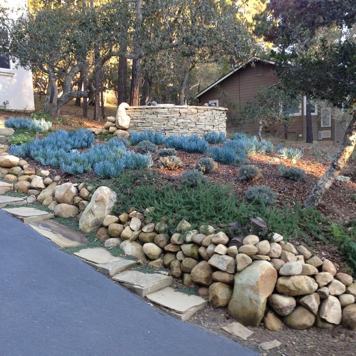 Cambria Waterwise Garden