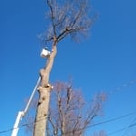 Beginning of removal