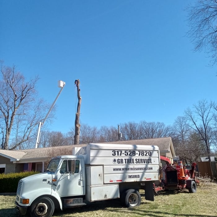 Middle of removal