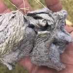 Lint from exterior vent