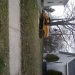 stumpgrinding