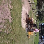 stump job