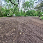 Finished Yard