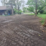 Finished Yard