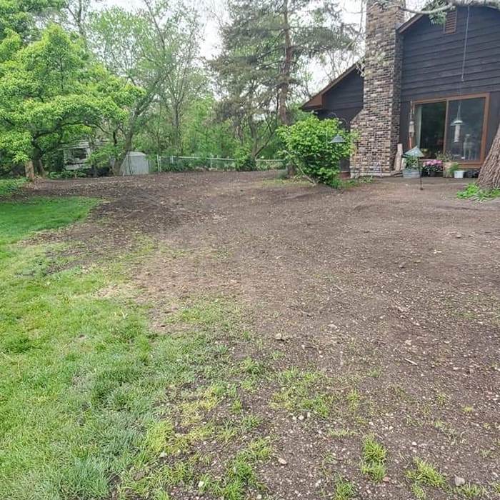 Finished Yard