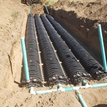 Septic Field