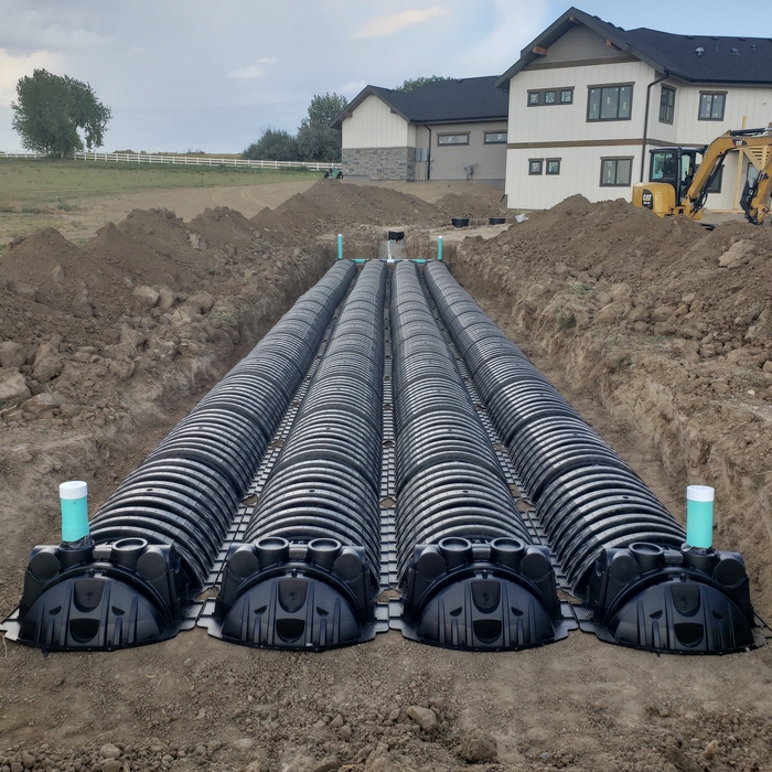 septic field