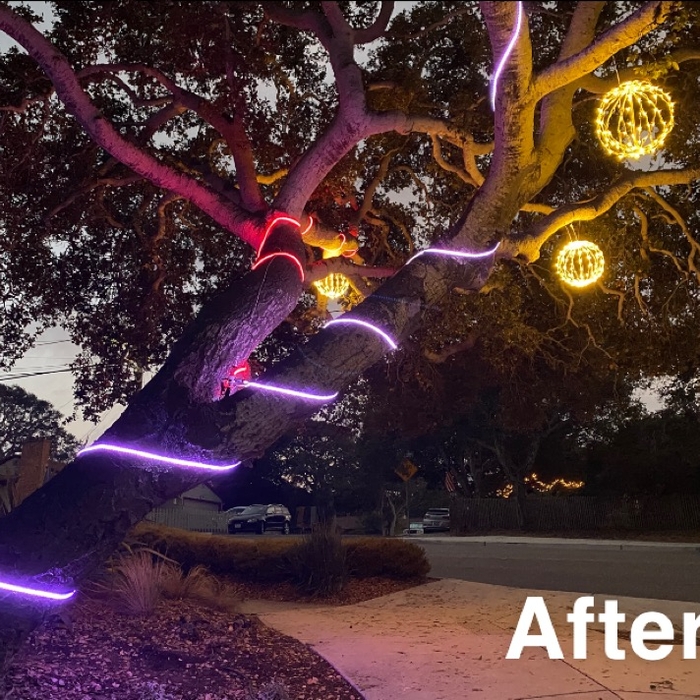Led decorative lights