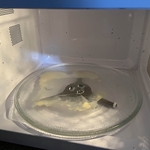 Deep Cleaning
