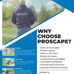 Landscapes We Maintain