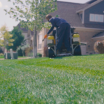 Landscapes We Maintain