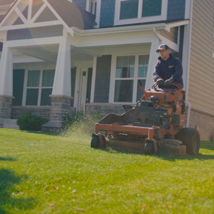 Landscapes We Maintain