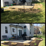 spring cleanup