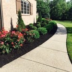 fresh mulch