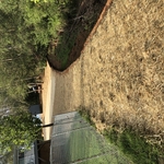 Lower yard