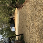 Lower yard