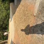 Upper yard