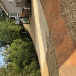 Upper yard looking back