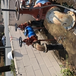 Commercial BackFlow