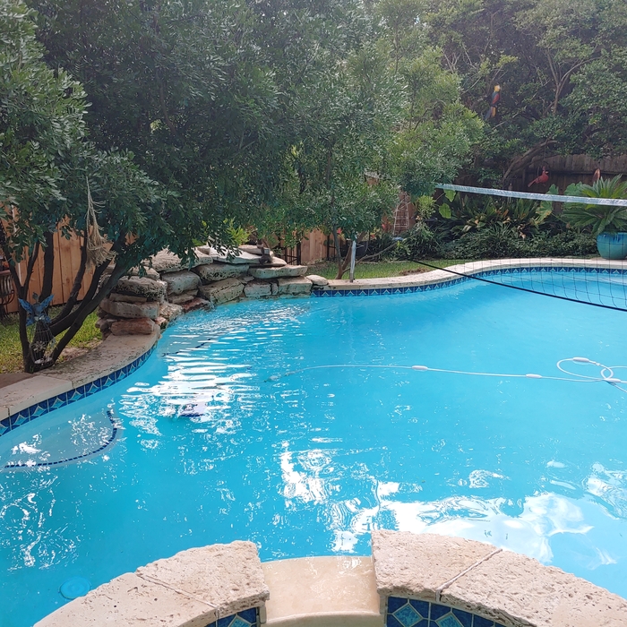 Algae treatment