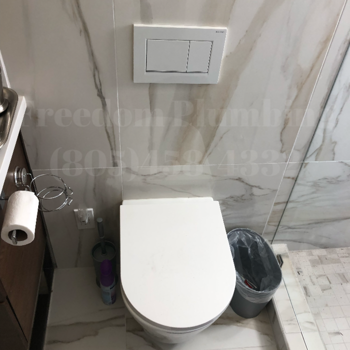 Wall hung toilet