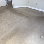 Old carpet