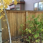 Fence sand & refinish