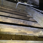 mold